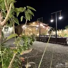 مخيم إيفا للإيجار اليومي جدة خط بريمان