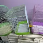 اقفاص عصافير وطيور