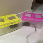 للبيع سلحفاه 2 مع علبتها