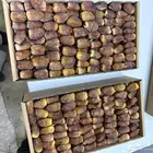 تمر برني وكعيمر