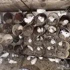 الحمام