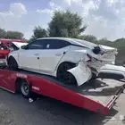 نسيان مكسيما مصدوم