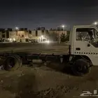 دينا اسيزو