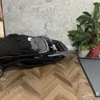 عربية أطفال
