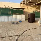 ابقيق