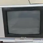 تلفزيون