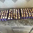 بيض مخصب تركي موجود 3اطباق للحجز يكلمني خاص