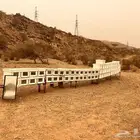 خلايا حديثة 101 عود 34 منها فيها براويز والبقيه بدون براويز