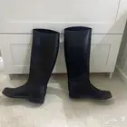 جزم ركوب الخيل