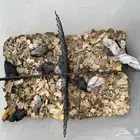 20 فرخ روز غر