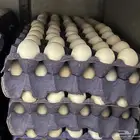بيض بلدي للأكل