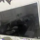 شاشات تلفزيون للبيع مستعجل