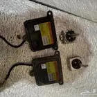 زنون جينسس