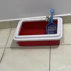 مستلزمات قطط