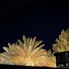 تجاره