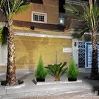 نخيل واشنطني
