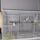 كروان هولندي