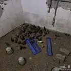 صوص فيومي بيع مستعجل