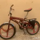 مايجي الا اصامل