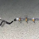 اعرض لكم بخاخات كامري 2011