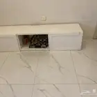 طاوله للبيع 100 ريال
