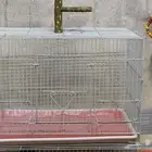 قفص طيور