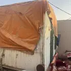 عريض