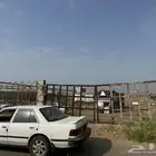 حوش تشليح سيارات للايجار