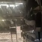 حمام فرنسي أزواج شرط الإنتاج سوبر جانبو حد الزوج 30