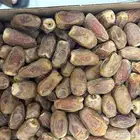 تمور صقعي للبيع