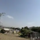 مزرعة دجاج للإيجار مجهزة