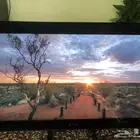 شاشة تلفزيون للبيع