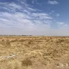 حصيدة اعشاب و بصل للحلال رشاش 6 ابراج