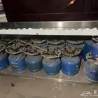 دافور غاز عدد 13 حبة