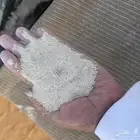 رمل الياسه  رمل نفود شقراء احمر
