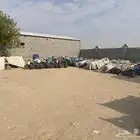 دباب