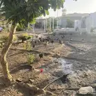 ديوك فيومي وبلدي