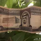عملة نادرة عشرة الملك فهد الله يرحمه