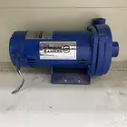 دينمو سمنان حصان ونصف الموقع الاحساء  . الكلابيه