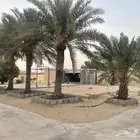 نخل مجانا للمساجد فقط