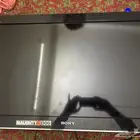 شاشه سوني على الشرط
