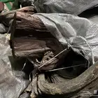 حطب مستورد قرض طيب وجروم كبار