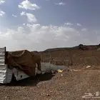 شبك حلال جاهز للبيع