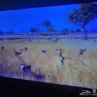 شاشة سمارت باناسونيك