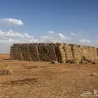ذره شاميه البيع