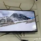 تلفزيون