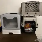 اغراض قطط