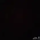 مطلووب امبالا