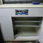 فقاسه بيض اتومتيكيه
