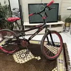 سيكل كوبرا نظيف